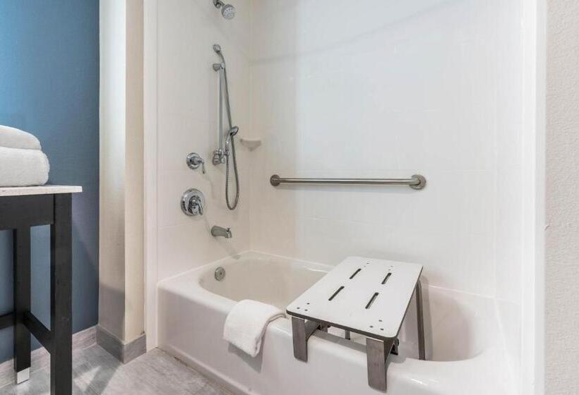 身障者適用スタンダードルーム, La Quinta Inn And Suites By Wyndham Houston Spring South