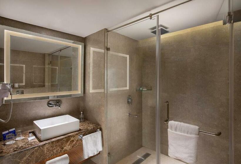 Люкс, Nirvana Sarovar Portico Gorakhpur