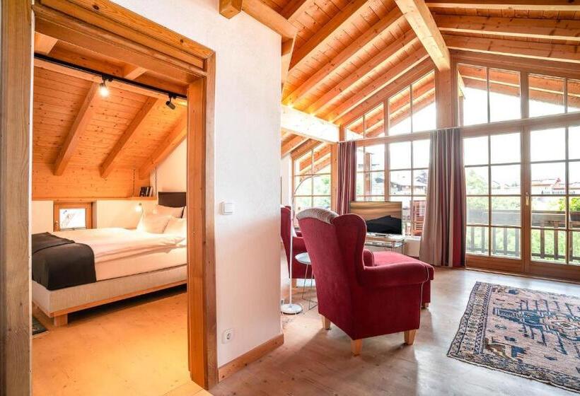 آپارتمان 1 خوابه با چشم‌انداز, Alpenhaus Oberstdorf