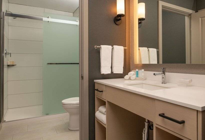 스위트, Homewood Suites By Hilton Belmont