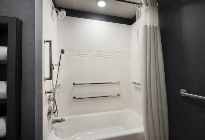 Студио Стандарт Кровать Кинг, Residence Inn By Marriott Minneapolis St. Paul/eagan