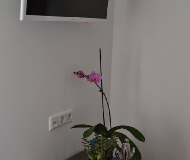 Номер Deluxe, Myrsini