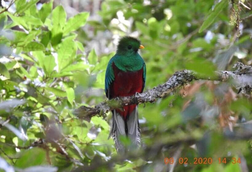 スタンダードルーム, Miriam S Quetzals Lodge