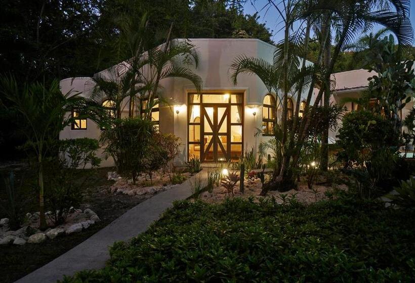 Люкс Кровать Кинг, Paradise Beach Lodge