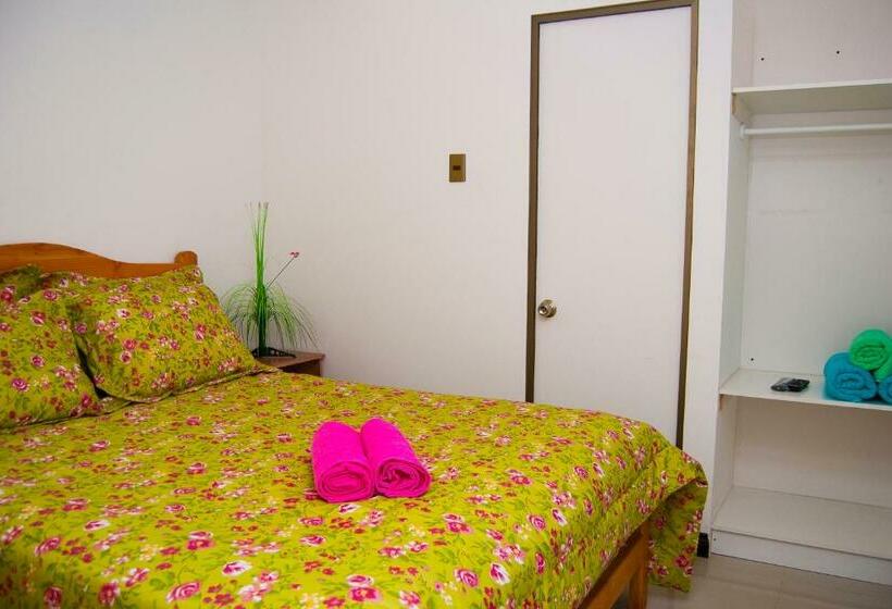 Standard Szoba, Hostal Lecher