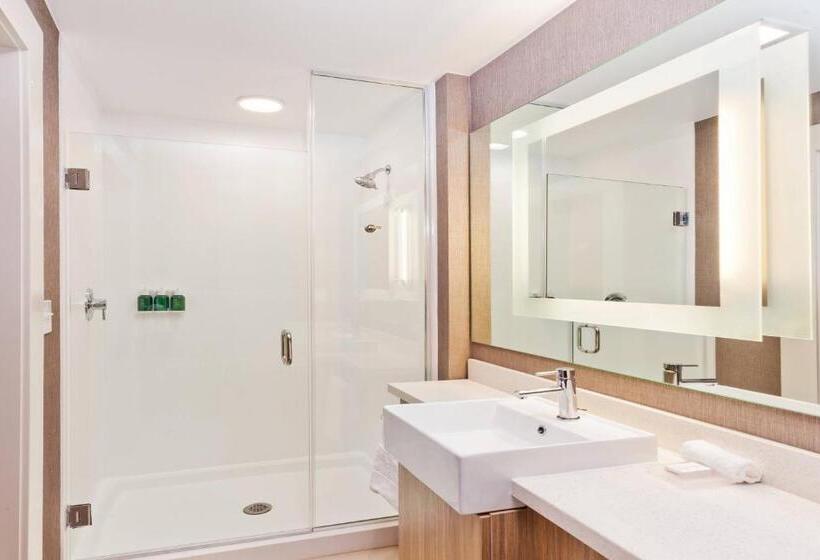Люкс, Springhill Suites By Marriott Montgomery Prattville/millbrook