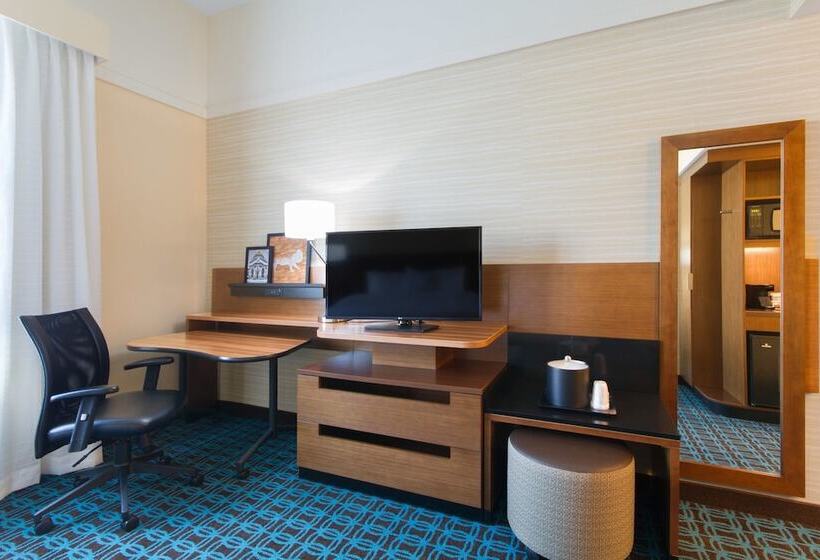 Люкс, Fairfield Inn & Suites By Marriott Buffalo Amherst/university
