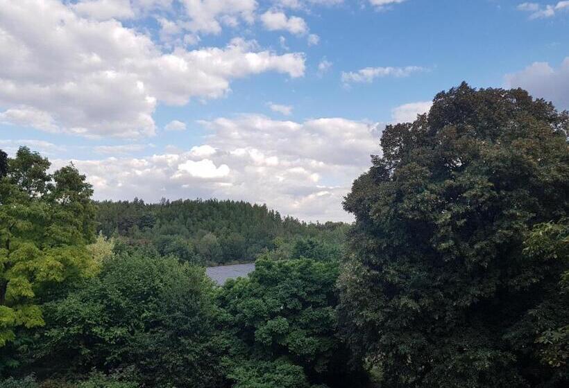 اتاق استاندارد با تخت بزرگ, Château Lambert Moulinsart Hotel, Shuttle Airport, Long Term Parking, Snooker, Large Terrasse, Dinne