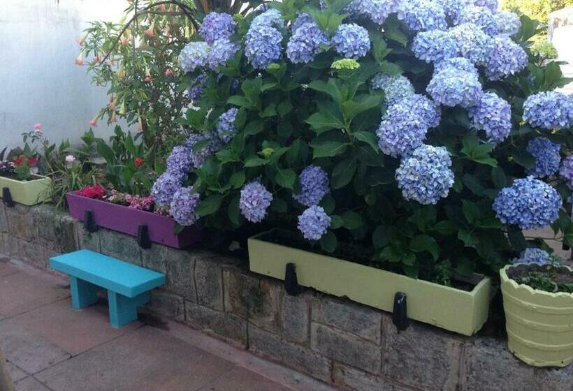 Люкс, Hostel Das Flores