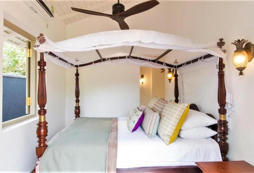 اتاق لوکس, Monara House, Talpe
