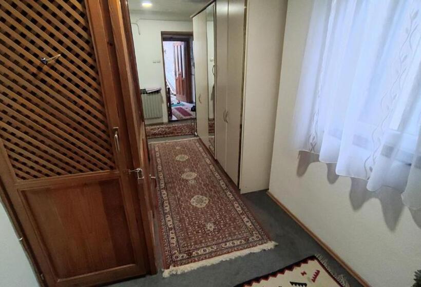 اتاق لوکس با چشم‌انداز شهر, Curovac View