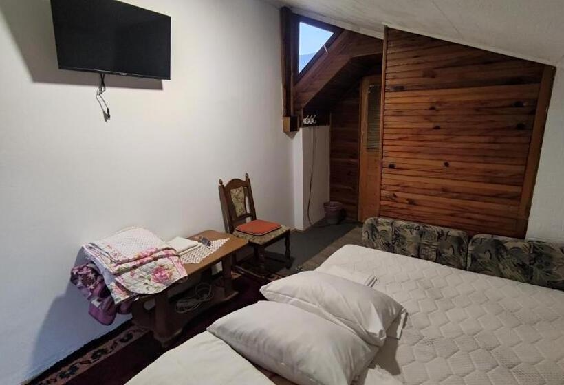 اتاق استاندارد با تخت بزرگ, Curovac View
