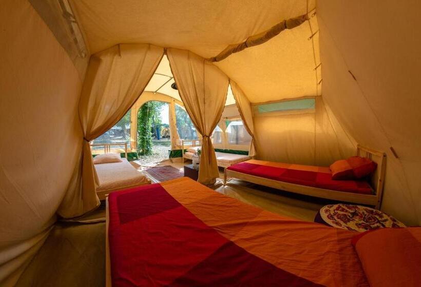 四人标准间, Progress Outdoor Surf Hostel
