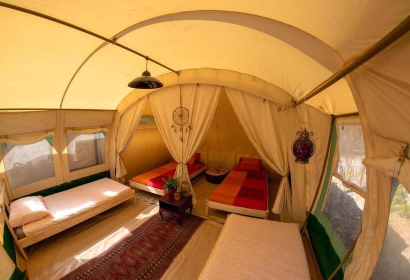共用房间的床, Progress Outdoor Surf Hostel