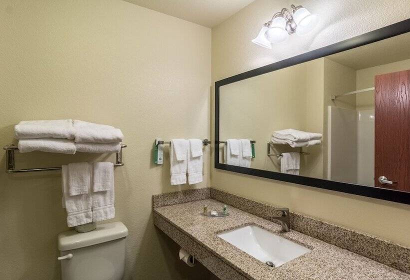 标准工作室, Cobblestone Hotel & Suites   Hutchinson