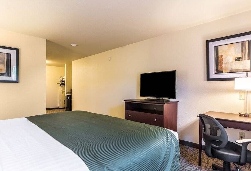 标准工作室, Cobblestone Hotel & Suites   Hutchinson