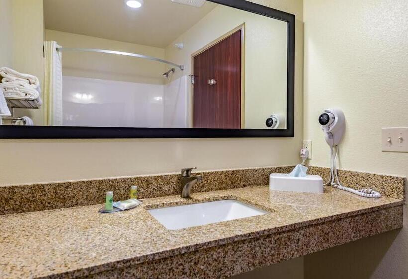 Номер Стандарт, Cobblestone Hotel & Suites   Hutchinson