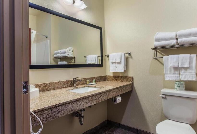Студия Стандарт, Cobblestone Hotel & Suites   Hutchinson