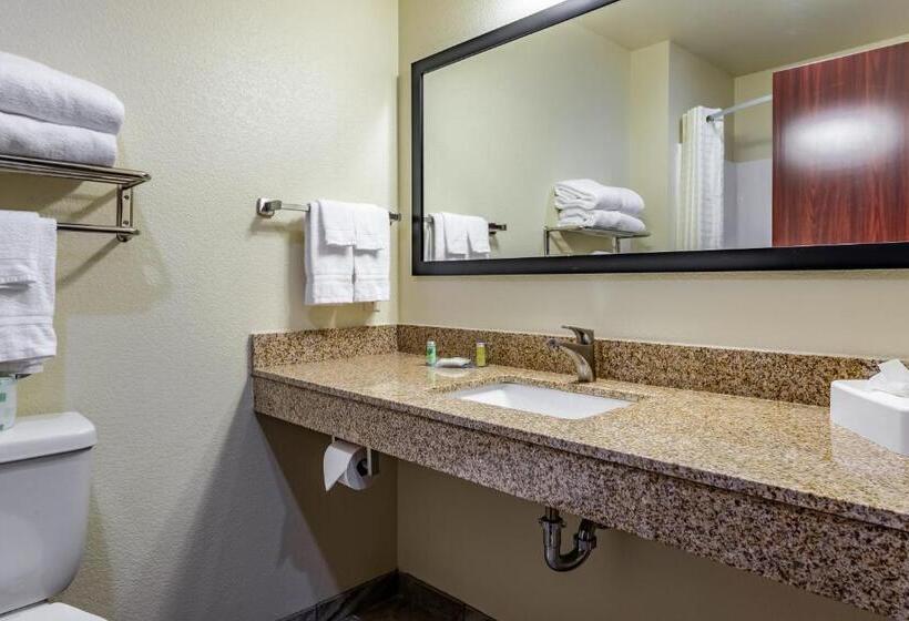 Люкс Повышенной Комфортности, Cobblestone Hotel & Suites   Hutchinson