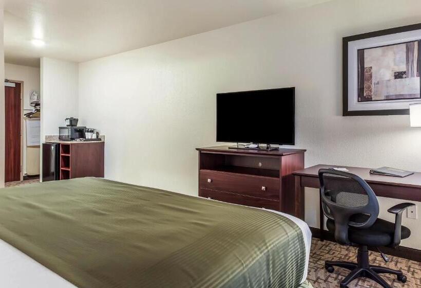 适合残疾人士使用的带超级大床的标准间, Cobblestone Hotel & Suites   Hutchinson