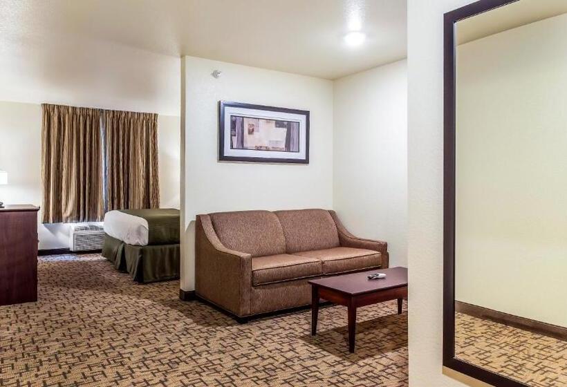 Студио Стандарт Кровать Кинг, Cobblestone Hotel & Suites   Hutchinson