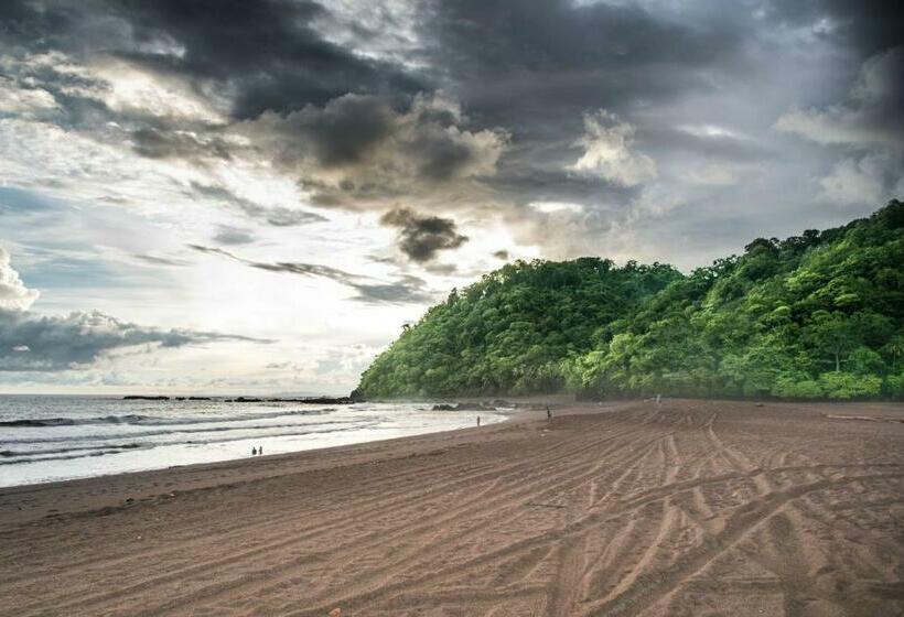 Студия Стандарт, Chill Inn Nosara