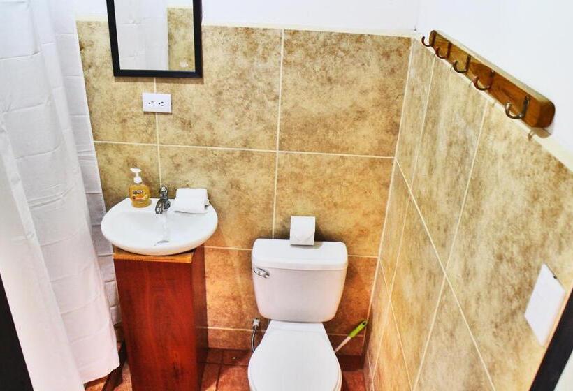 Студия Стандарт, Chill Inn Nosara