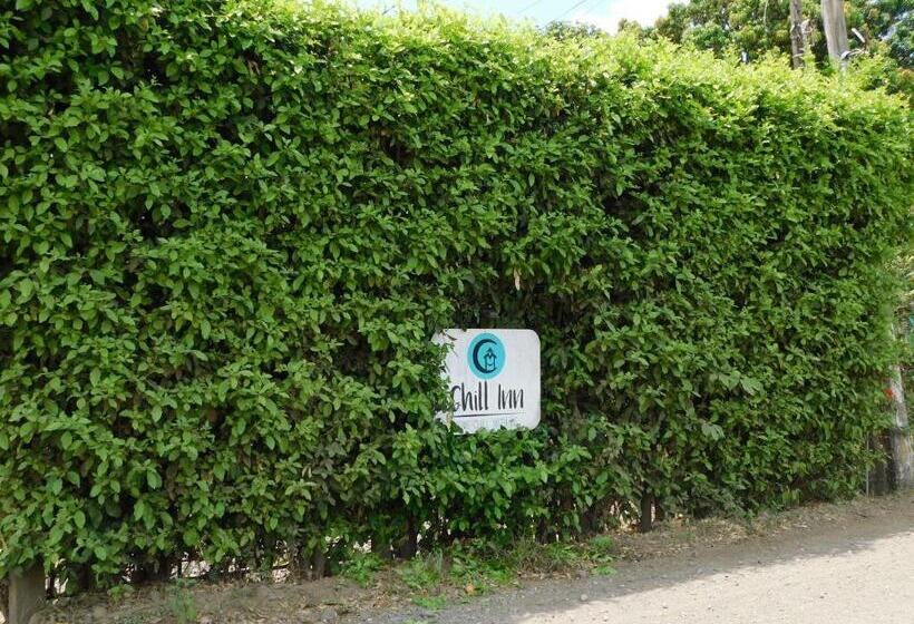 Студия Стандарт, Chill Inn Nosara