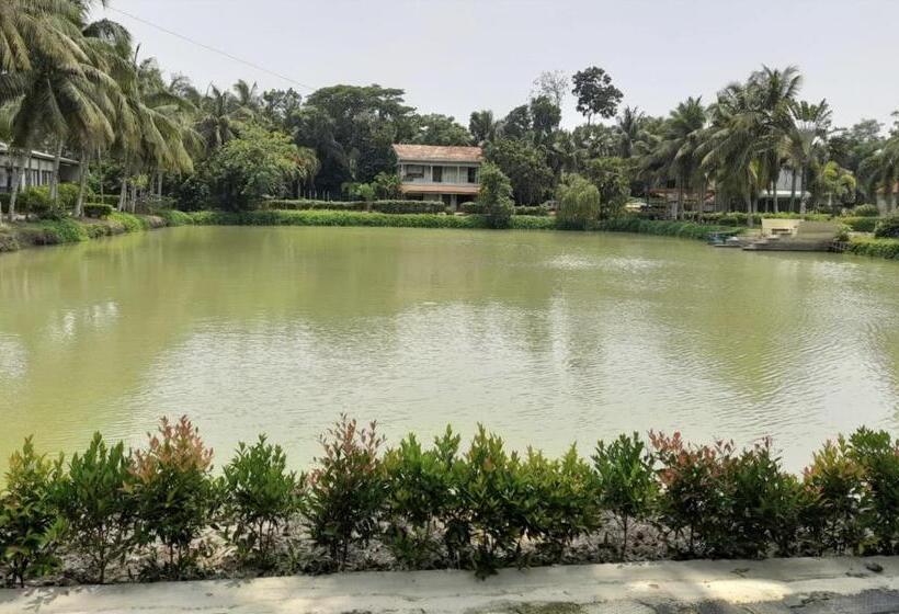 豪华房间, Breathing Earth   Rooms And Pool