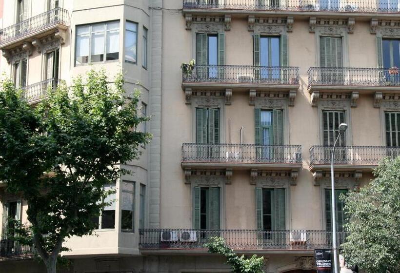 اتاق اینتریور یک تخته, Hostal Eixample