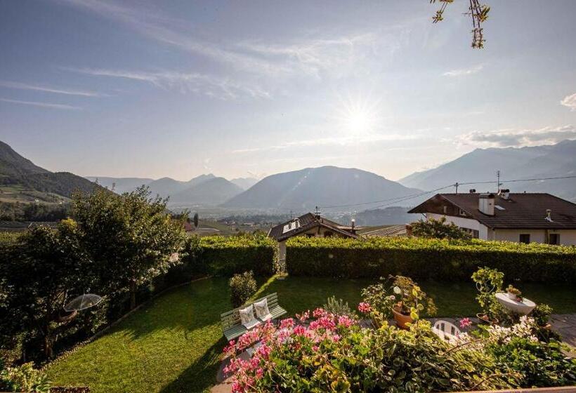 Номер Стандарт Вид на Бассейн, Boutique Hotel St Georgen