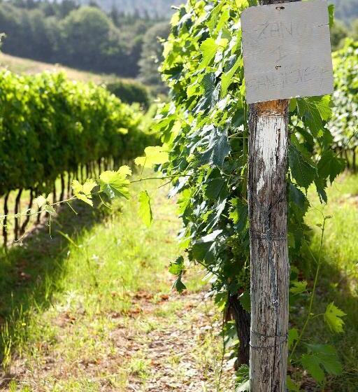 آپارتمان 1 خوابه, Fattoria Poggio Capponi