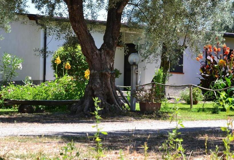 اتاق استاندارد, Agriturismo Il Maresciallo