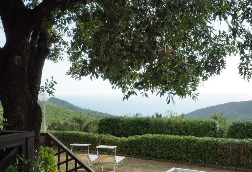 标准单人间, B&b Il Piccolo Paradiso