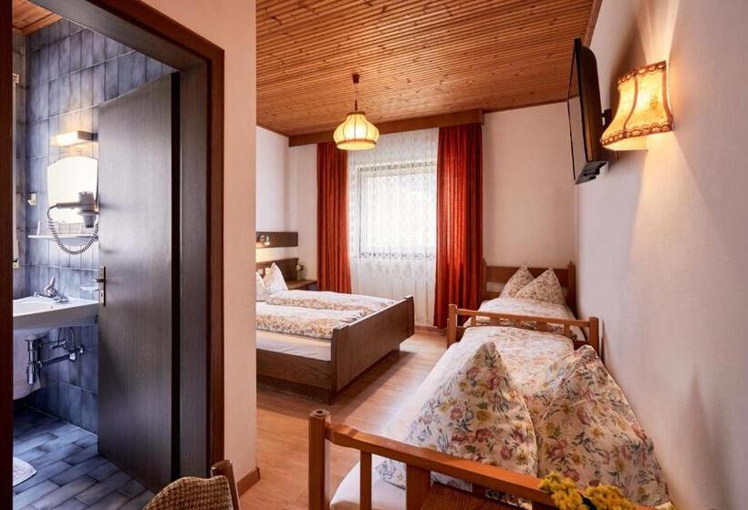 Трежместный Номер Economy, Ferienpension Zummüllerhof