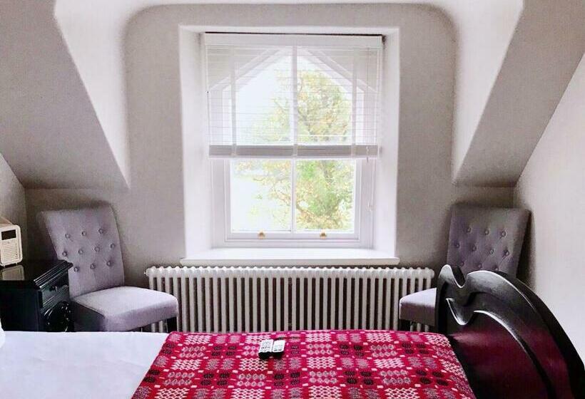 Номер Deluxe Кровать Кинг, Olif