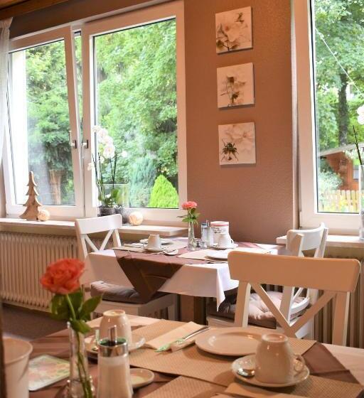 Номер Economy Индивидуальный, Pension Trautheim   Am Stadtpark