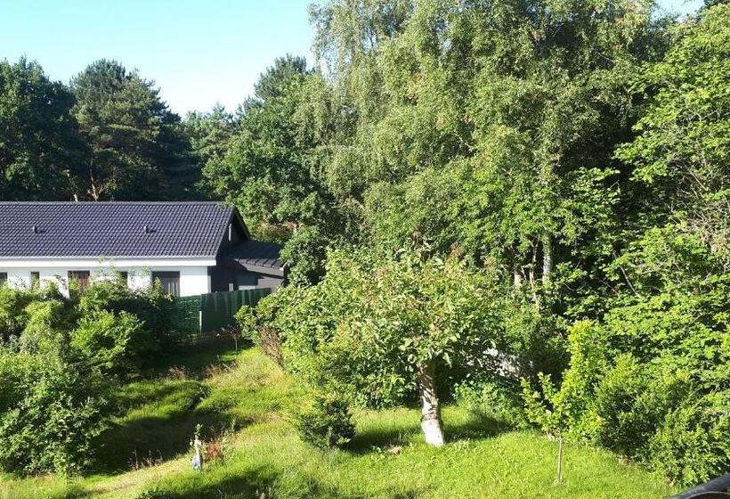 استودیو ساده, Pension Haus Erika