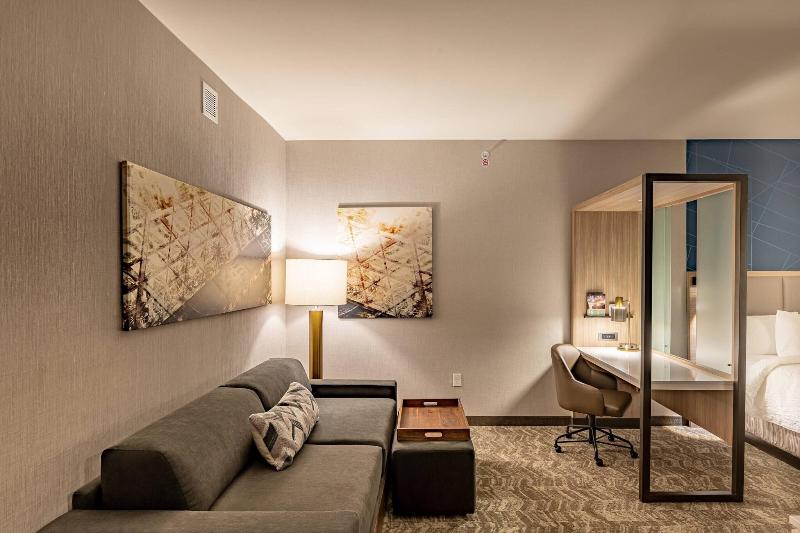 Люкс Кровать Кинг, Springhill Suites By Marriott Dallas Mckinney