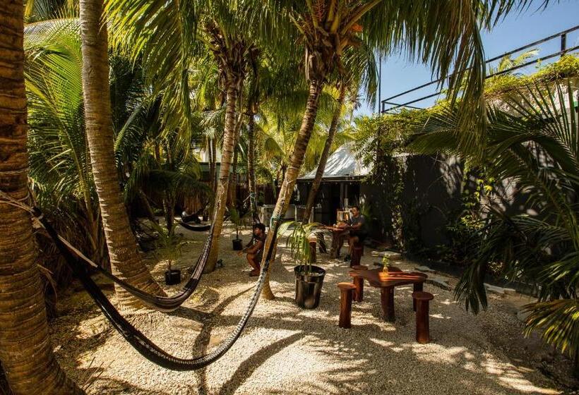 اتاق لوکس, Che Holbox Hostel & Bar Adults Only