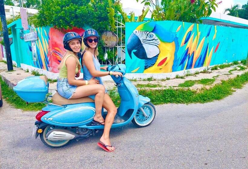 ルームシェアのワンベッド, Hostal Guacamayas