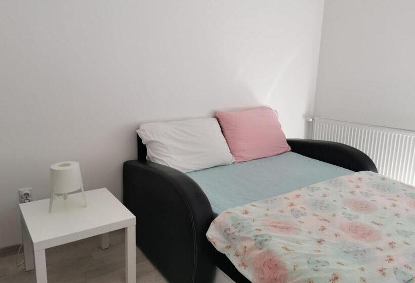 استودیو استاندارد با تراس, Guest House Dana