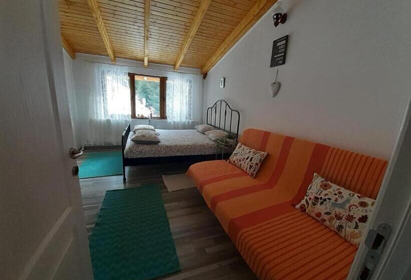Апартаменты 1 Спальня Вид на Сад, Casa Maia Dambovicioara