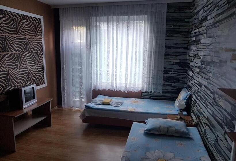 اتاق استاندارد چهار تخته, Guest House Veselina