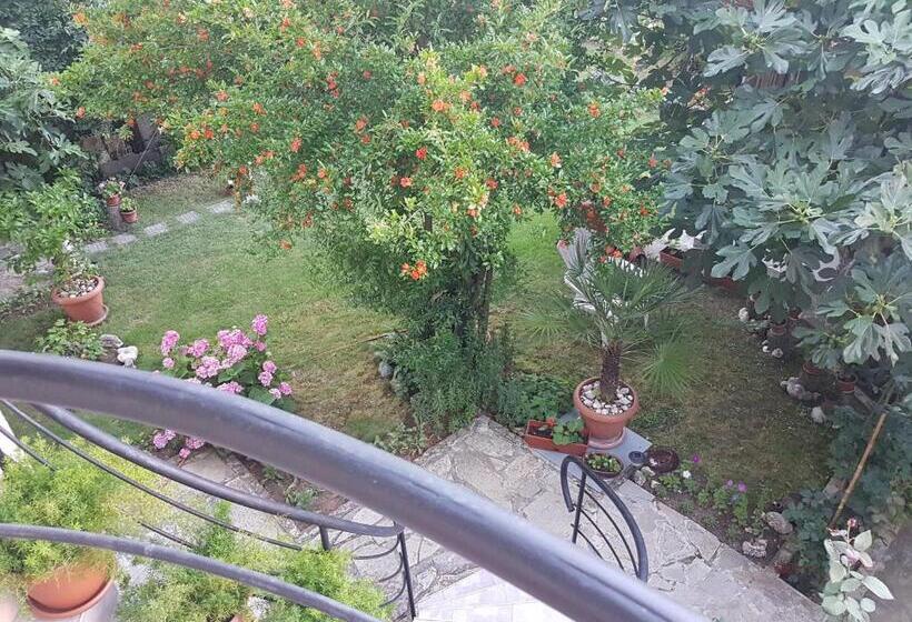 חדר סטנדרט נוף לגינה, Guest House Veselina