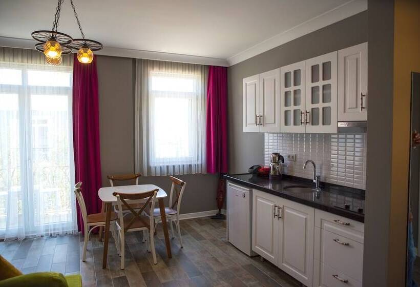 Апартаменты 1 Спальня, Zeytin Arası Apart Otel