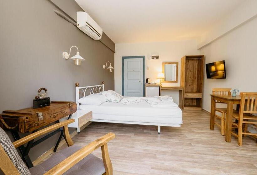 اتاق استاندارد با چشم‌انداز باغ, Azra Apart & Otel