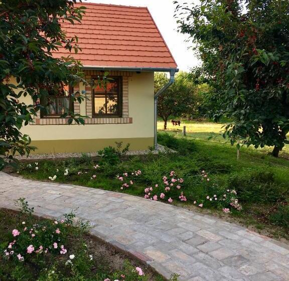Номер Стандарт, Béni Family Wine Farm