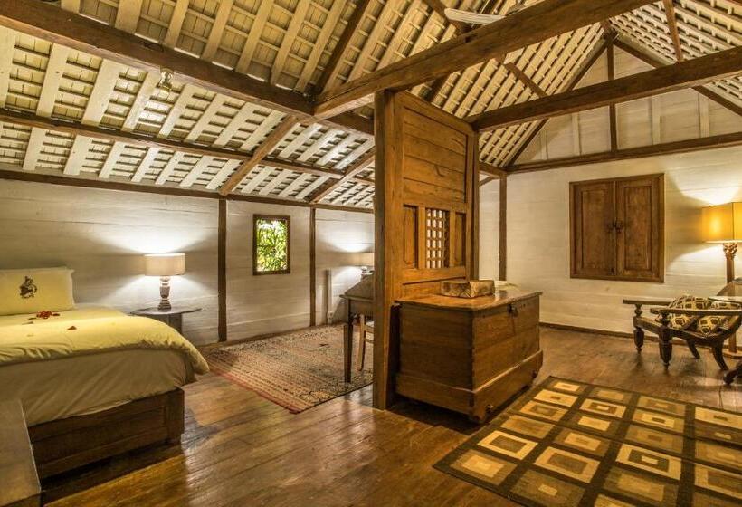 标准间, Wayang Retreat