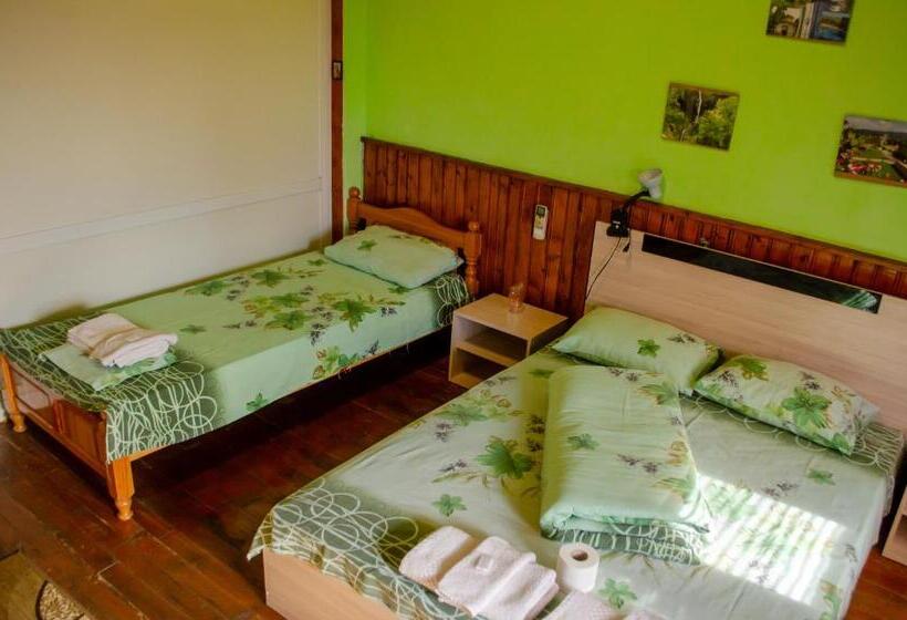 标准工作室带阳台, Danailovi Guest House
